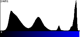 Blue Histogram