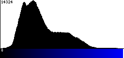 Blue Histogram