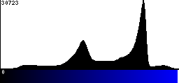 Blue Histogram