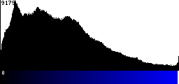 Blue Histogram