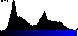 Blue Histogram