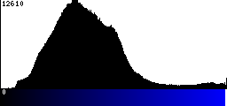 Blue Histogram