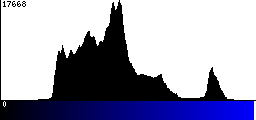 Blue Histogram