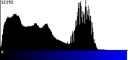 Blue Histogram