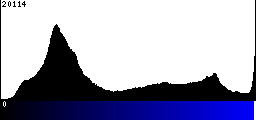 Blue Histogram