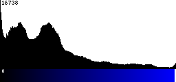 Blue Histogram