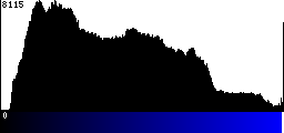 Blue Histogram