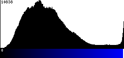 Blue Histogram