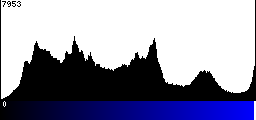 Blue Histogram