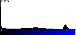 Blue Histogram