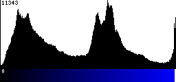 Blue Histogram