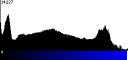 Blue Histogram