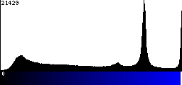 Blue Histogram