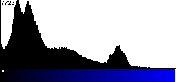 Blue Histogram