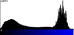 Blue Histogram