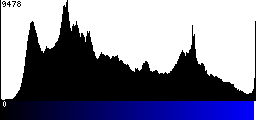 Blue Histogram