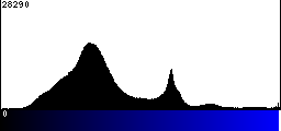 Blue Histogram