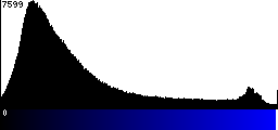 Blue Histogram