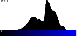 Blue Histogram