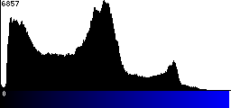 Blue Histogram