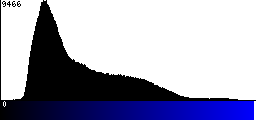 Blue Histogram