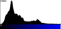 Blue Histogram