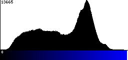 Blue Histogram