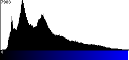 Blue Histogram