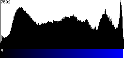 Blue Histogram