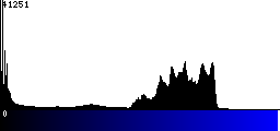 Blue Histogram