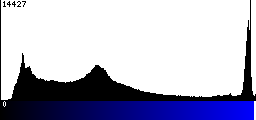 Blue Histogram