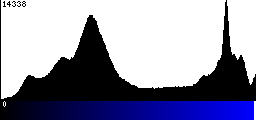 Blue Histogram