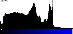 Blue Histogram