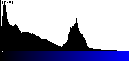 Blue Histogram