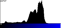 Blue Histogram