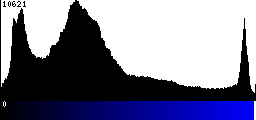 Blue Histogram