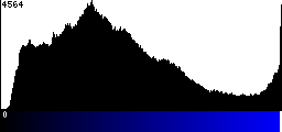 Blue Histogram