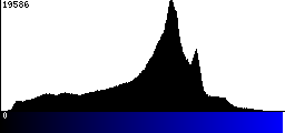 Blue Histogram