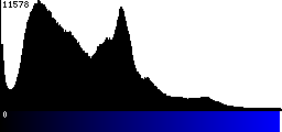 Blue Histogram