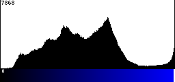 Blue Histogram