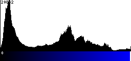 Blue Histogram