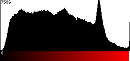 Red Histogram