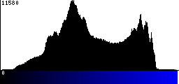 Blue Histogram