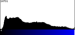 Blue Histogram