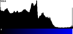 Blue Histogram