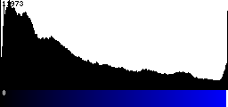 Blue Histogram