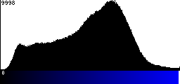 Blue Histogram