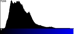 Blue Histogram