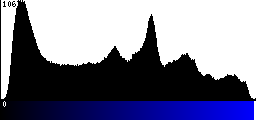 Blue Histogram