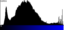 Blue Histogram